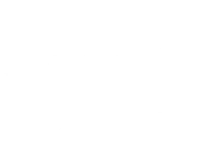 The Judge